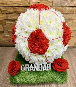 3D Football in any colours 24 hrs notice required